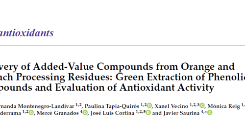 antioxidants cover img